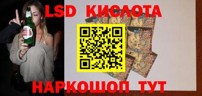 стаф Сланцы