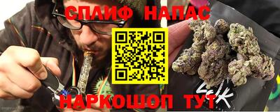 стаф Сланцы