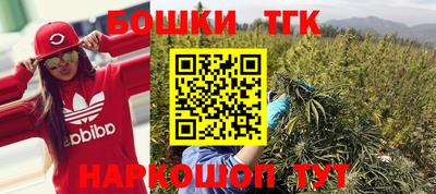 стаф Сланцы