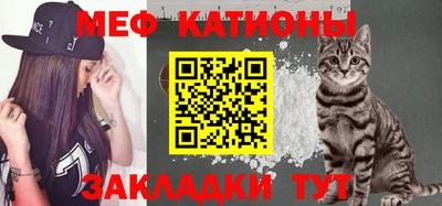 стаф Сланцы