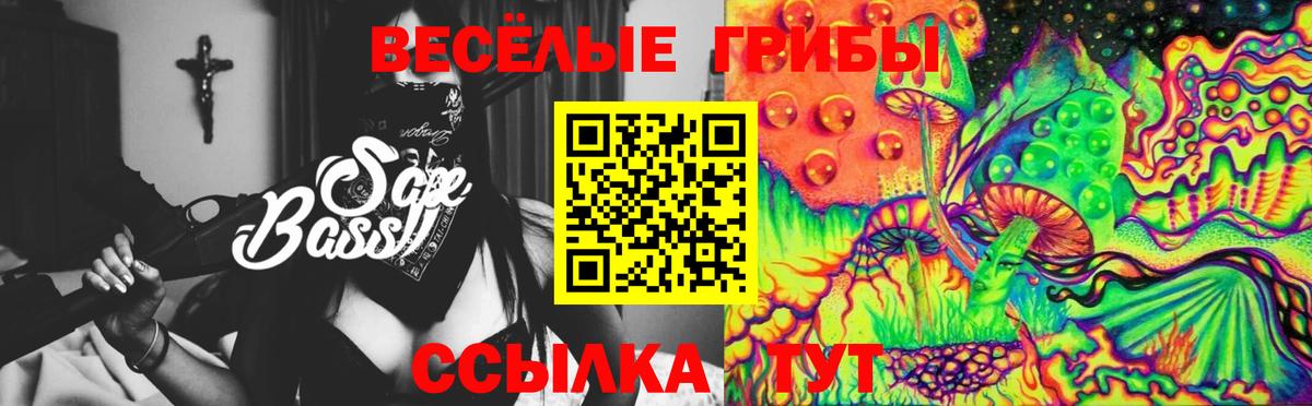 Новоуральск  Галлюциногенные грибы Psilocybe  Вход с VPN  Псилоцибиновые грибы Psilocybe 